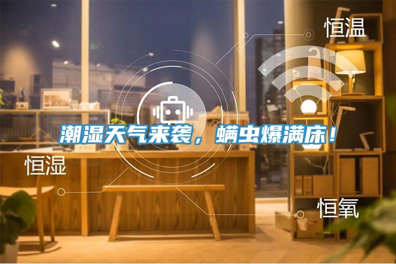 潮濕天氣來襲，螨蟲爆滿床！