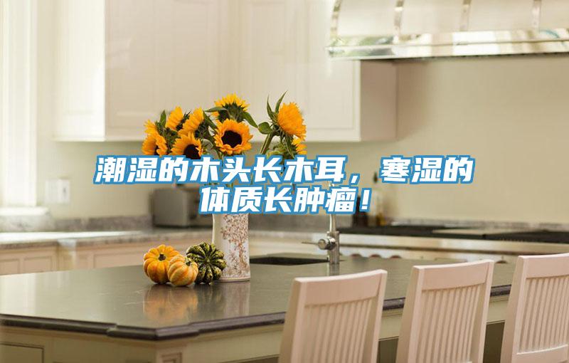 潮濕的木頭長木耳，寒濕的體質長腫瘤！