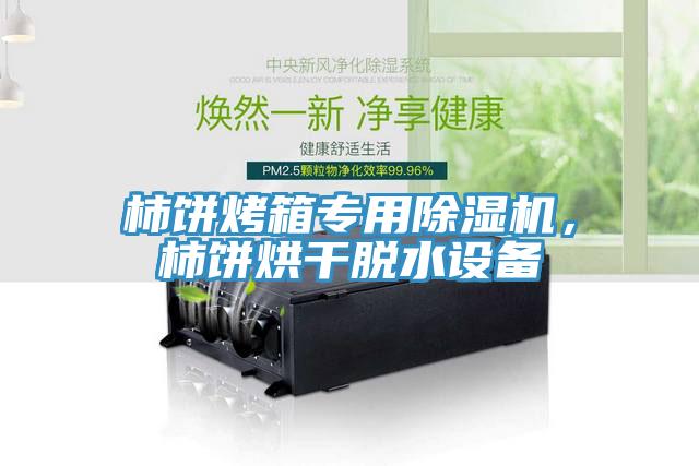 柿餅烤箱專用除濕機(jī)，柿餅烘干脫水設(shè)備