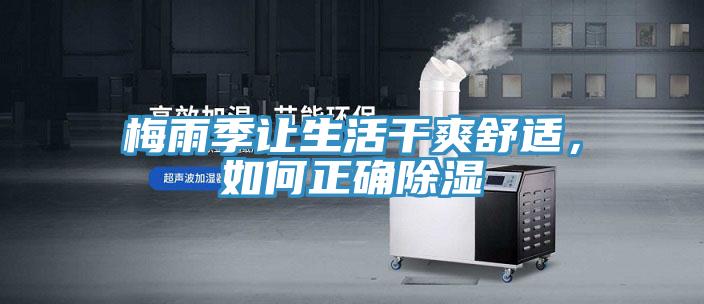 梅雨季讓生活干爽舒適，如何正確除濕