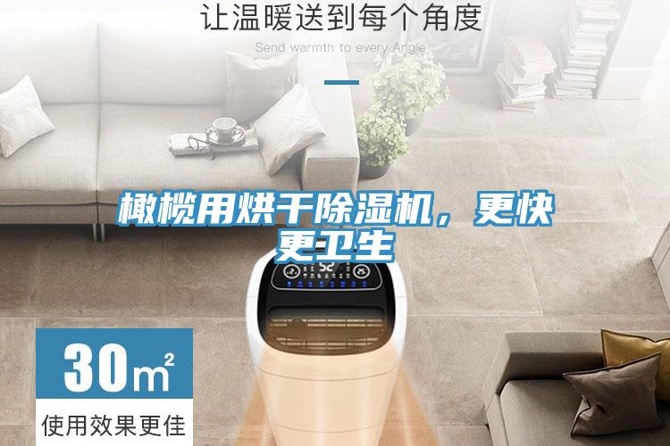 橄欖用烘干除濕機(jī)，更快更衛(wèi)生