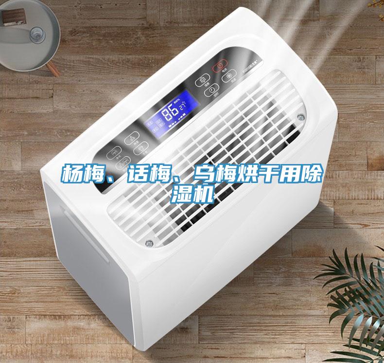 楊梅、話(huà)梅、烏梅烘干用除濕機(jī)