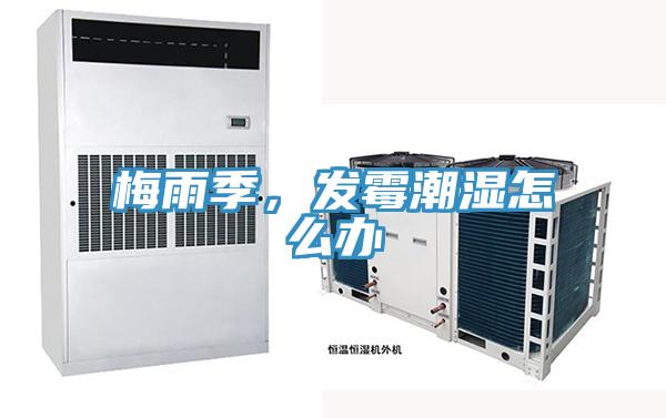 梅雨季，發(fā)霉潮濕怎么辦
