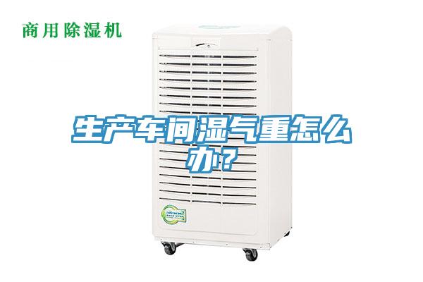 生產(chǎn)車間濕氣重怎么辦？
