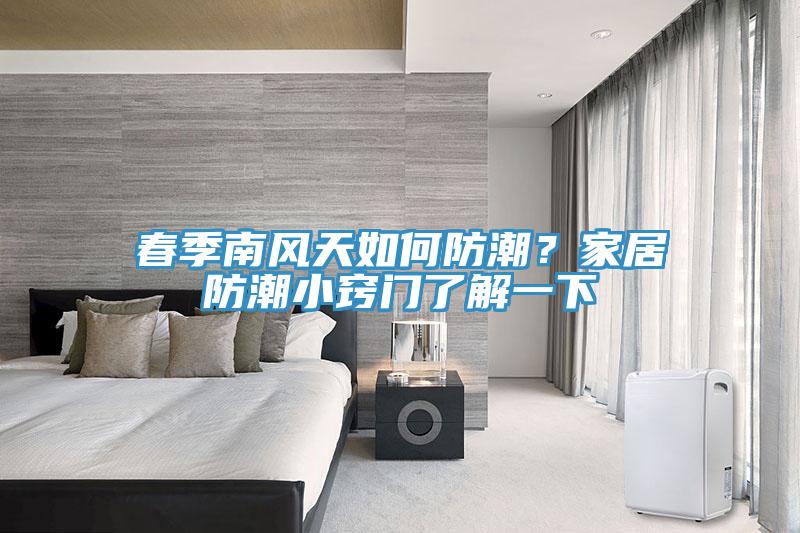 春季南風(fēng)天如何防潮？家居防潮小竅門了解一下