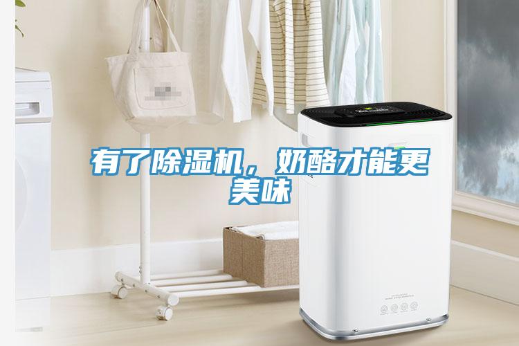 有了除濕機(jī)，奶酪才能更美味