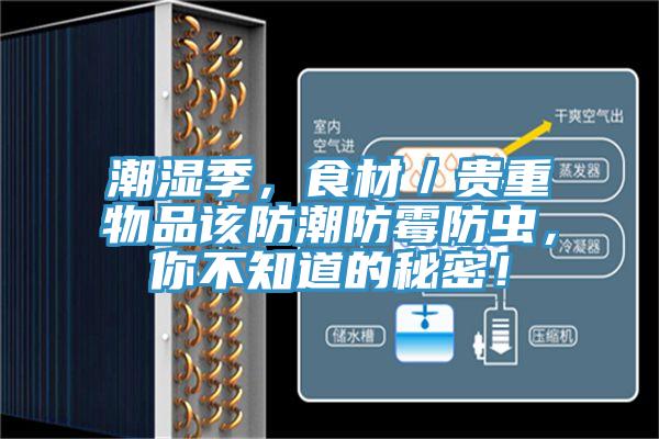 潮濕季，食材／貴重物品該防潮防霉防蟲，你不知道的秘密！