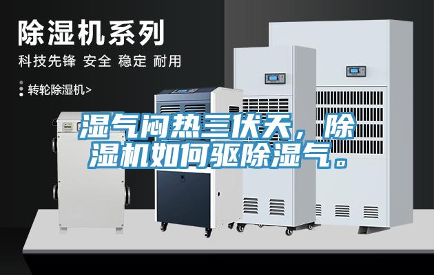 濕氣悶熱三伏天，除濕機如何驅除濕氣。