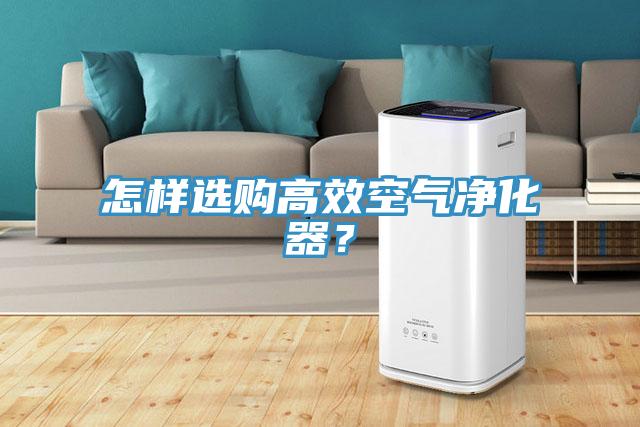 怎樣選購高效空氣凈化器？