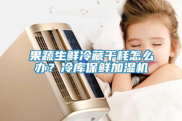 果蔬生鮮冷藏干耗怎么辦？冷庫保鮮加濕機(jī)