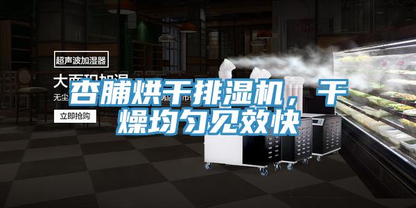 杏脯烘干排濕機(jī)，干燥均勻見(jiàn)效快