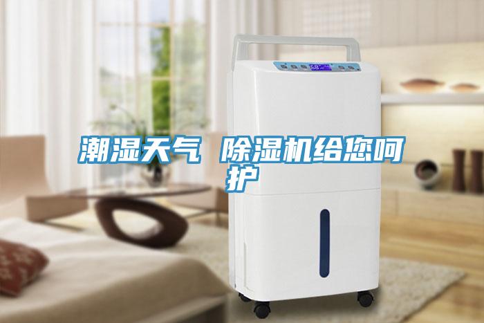潮濕天氣 除濕機給您呵護(hù)