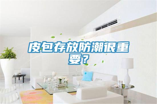 皮包存放防潮很重要？