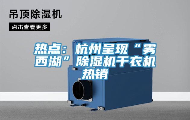 熱點：杭州呈現(xiàn)“霧西湖”除濕機(jī)干衣機(jī)熱銷