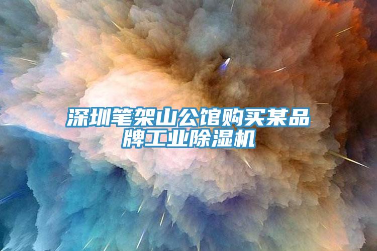 深圳筆架山公館購買某品牌工業(yè)除濕機(jī)