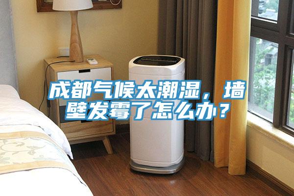 成都氣候太潮濕，墻壁發(fā)霉了怎么辦？