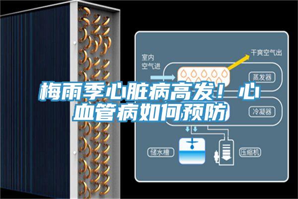 梅雨季心臟病高發(fā)！心血管病如何預(yù)防