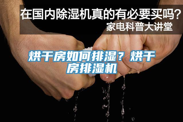 烘干房如何排濕？烘干房排濕機(jī)