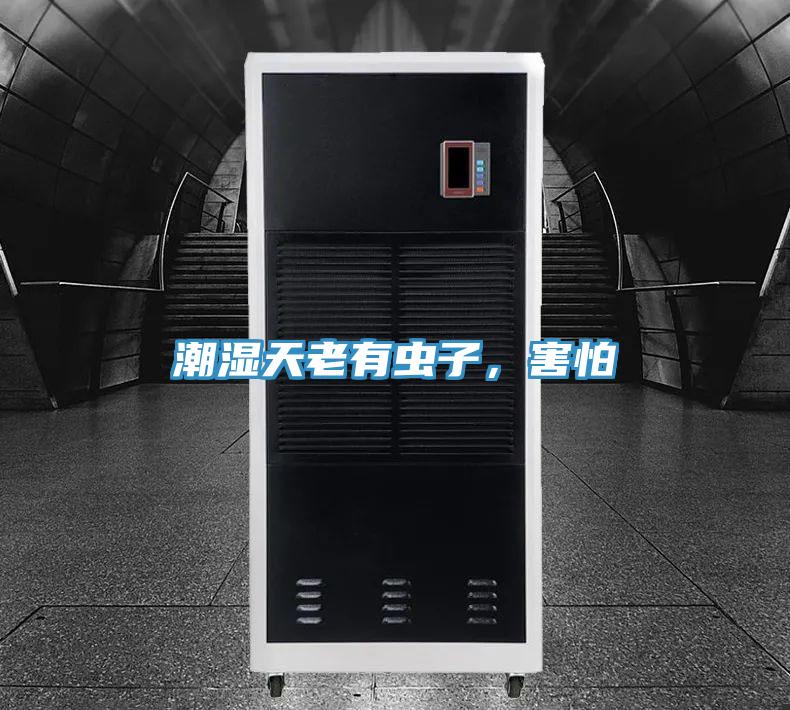 潮濕天老有蟲子，害怕