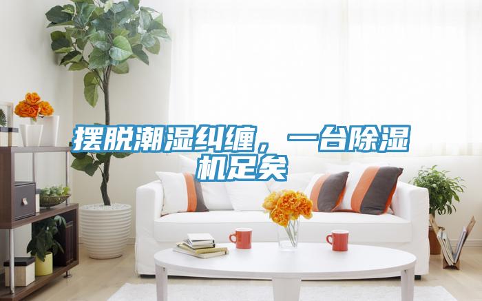擺脫潮濕糾纏，一臺除濕機足矣