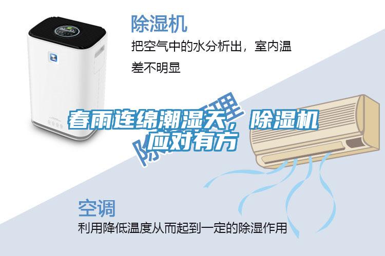 春雨連綿潮濕天，除濕機(jī)應(yīng)對(duì)有方