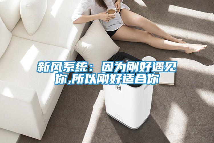 新風系統(tǒng)：因為剛好遇見你,所以剛好適合你