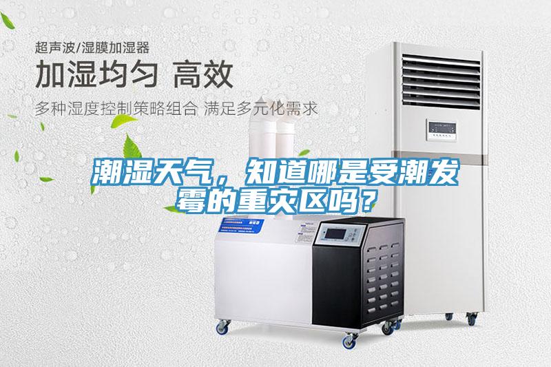 潮濕天氣，知道哪是受潮發(fā)霉的重災(zāi)區(qū)嗎？