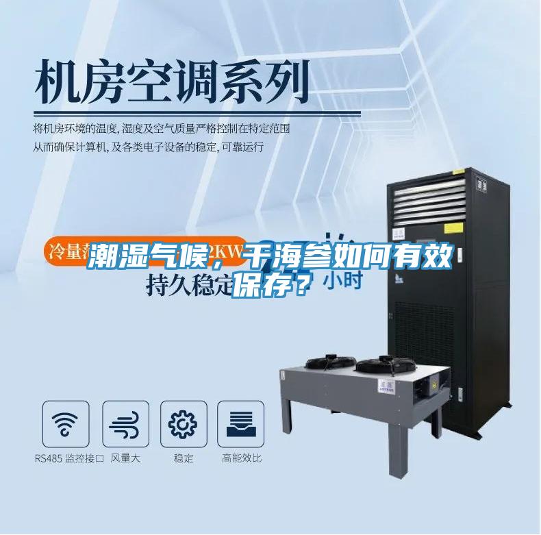 潮濕氣候，干海參如何有效保存？
