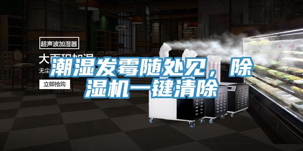 潮濕發(fā)霉隨處見，除濕機(jī)一鍵清除