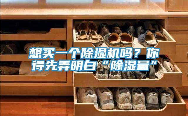 想買一個除濕機(jī)嗎？你得先弄明白“除濕量”