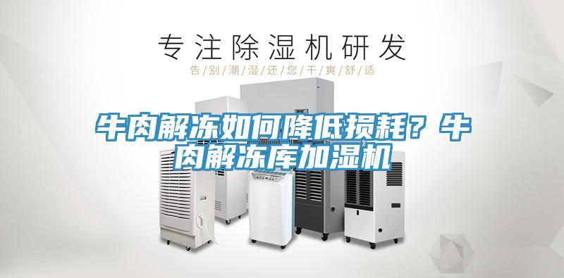 牛肉解凍如何降低損耗？牛肉解凍庫(kù)加濕機(jī)
