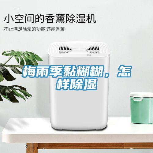 梅雨季黏糊糊，怎樣除濕