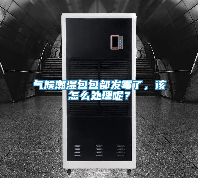 氣候潮濕包包都發(fā)霉了，該怎么處理呢？