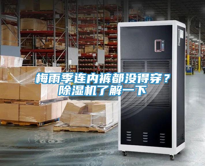 梅雨季連內(nèi)褲都沒(méi)得穿？除濕機(jī)了解一下