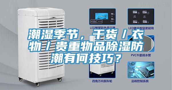 潮濕季節(jié)，干貨／衣物／貴重物品除濕防潮有何技巧？