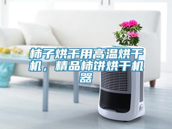 柿子烘干用高溫烘干機(jī)，精品柿餅烘干機(jī)器