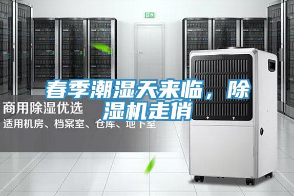 春季潮濕天來臨，除濕機走俏