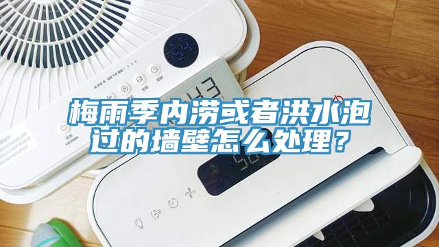 梅雨季內澇或者洪水泡過的墻壁怎么處理？