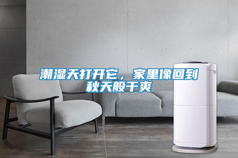 潮濕天打開它，家里像回到秋天般干爽