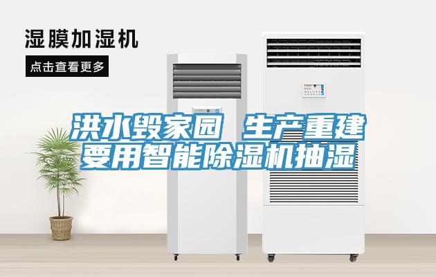 洪水毀家園 生產(chǎn)重建要用智能除濕機(jī)抽濕