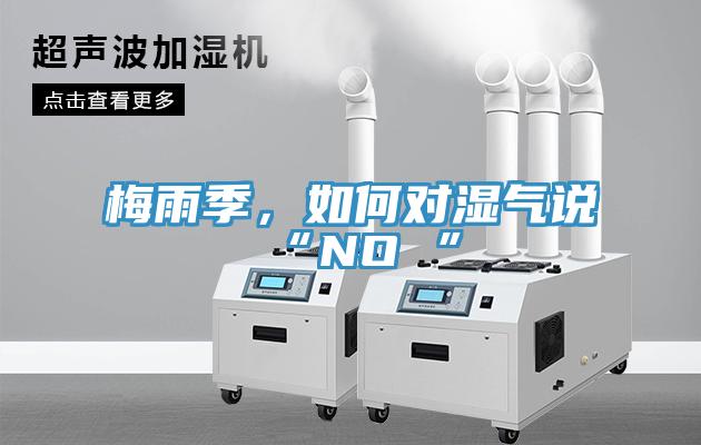 梅雨季，如何對濕氣說“NO ”