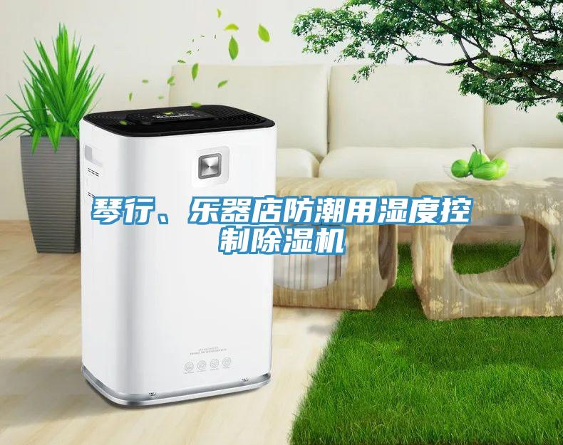 琴行、樂器店防潮用濕度控制除濕機(jī)