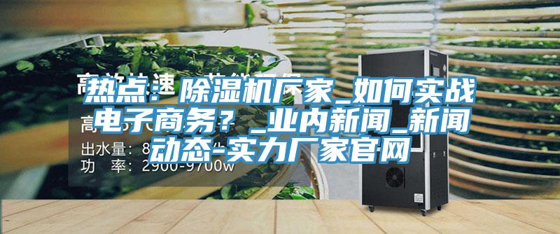 熱點(diǎn)：除濕機(jī)廠(chǎng)家_如何實(shí)戰(zhàn)電子商務(wù)？_業(yè)內(nèi)新聞_新聞動(dòng)態(tài)-實(shí)力廠(chǎng)家官網(wǎng)