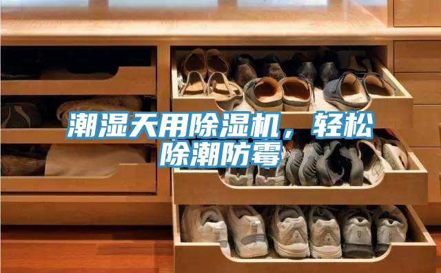 潮濕天用除濕機(jī)，輕松除潮防霉