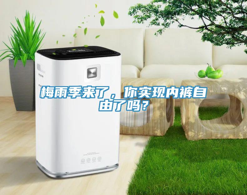 梅雨季來(lái)了，你實(shí)現(xiàn)內(nèi)褲自由了嗎？