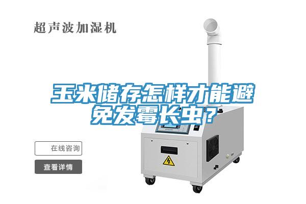 玉米儲(chǔ)存怎樣才能避免發(fā)霉長(zhǎng)蟲？