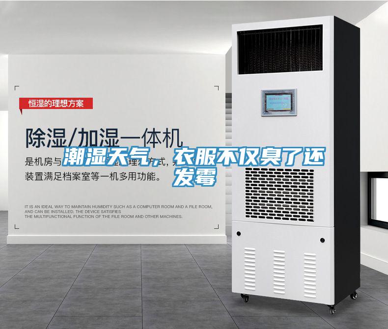潮濕天氣，衣服不僅臭了還發(fā)霉
