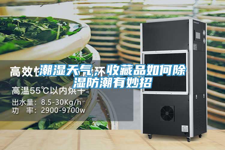 潮濕天氣，收藏品如何除濕防潮有妙招