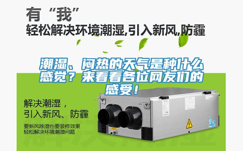 潮濕、悶熱的天氣是種什么感覺？來看看各位網(wǎng)友們的感受！