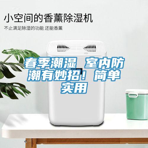 春季潮濕 室內(nèi)防潮有妙招！簡(jiǎn)單實(shí)用
